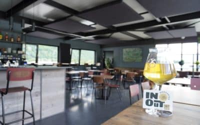 Traitement acoustique au InOut Biergarten à Sion