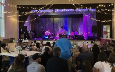 Sonorisation de la 5ème édition du festival COA à Vérossaz