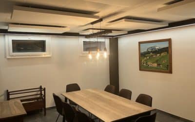 Optimisation sonore pour un carnotzet à Collombey-Muraz