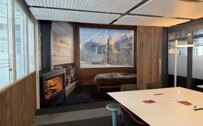 Traitement acoustique des salles de conférence de Netplus à Sierre